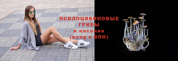 а пвп мука Балабаново