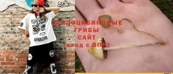 а пвп мука Балабаново